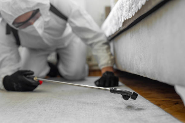 Professional Bed Bug Control technician working in Paw Paw, MI