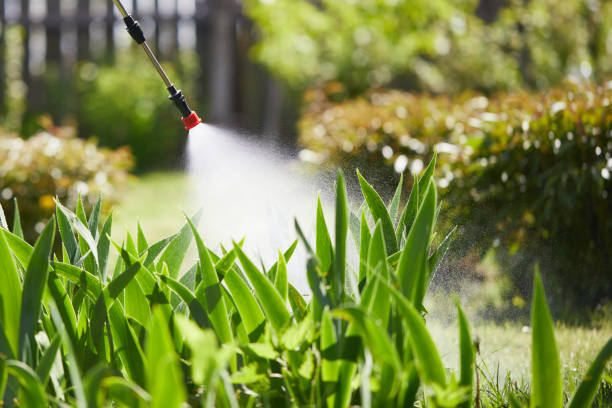 24/7 Emergency Bed Bug Control experts in Paw Paw, MI