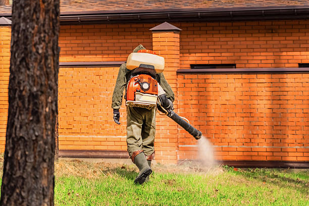 Trusted Termite Control service in Paw Paw, MI - Nex Pest Control